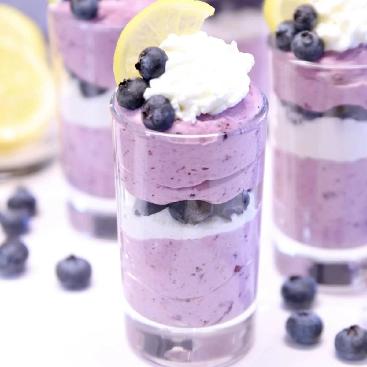 Blueberry No-Bake Cheesecake
