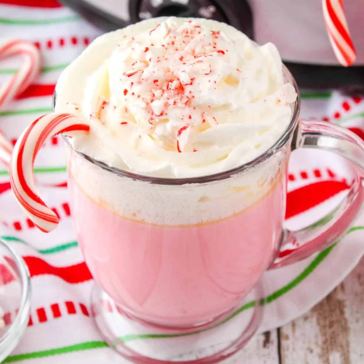 Candy Cane Slow Cooker Hot Chocolate
