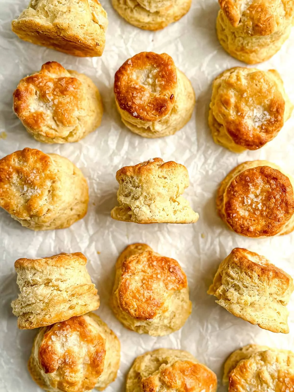 Creamy Biscuits with Sour Cream