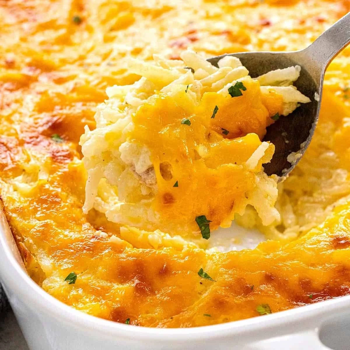 Creamy Cheesy Hashbrown Casserole