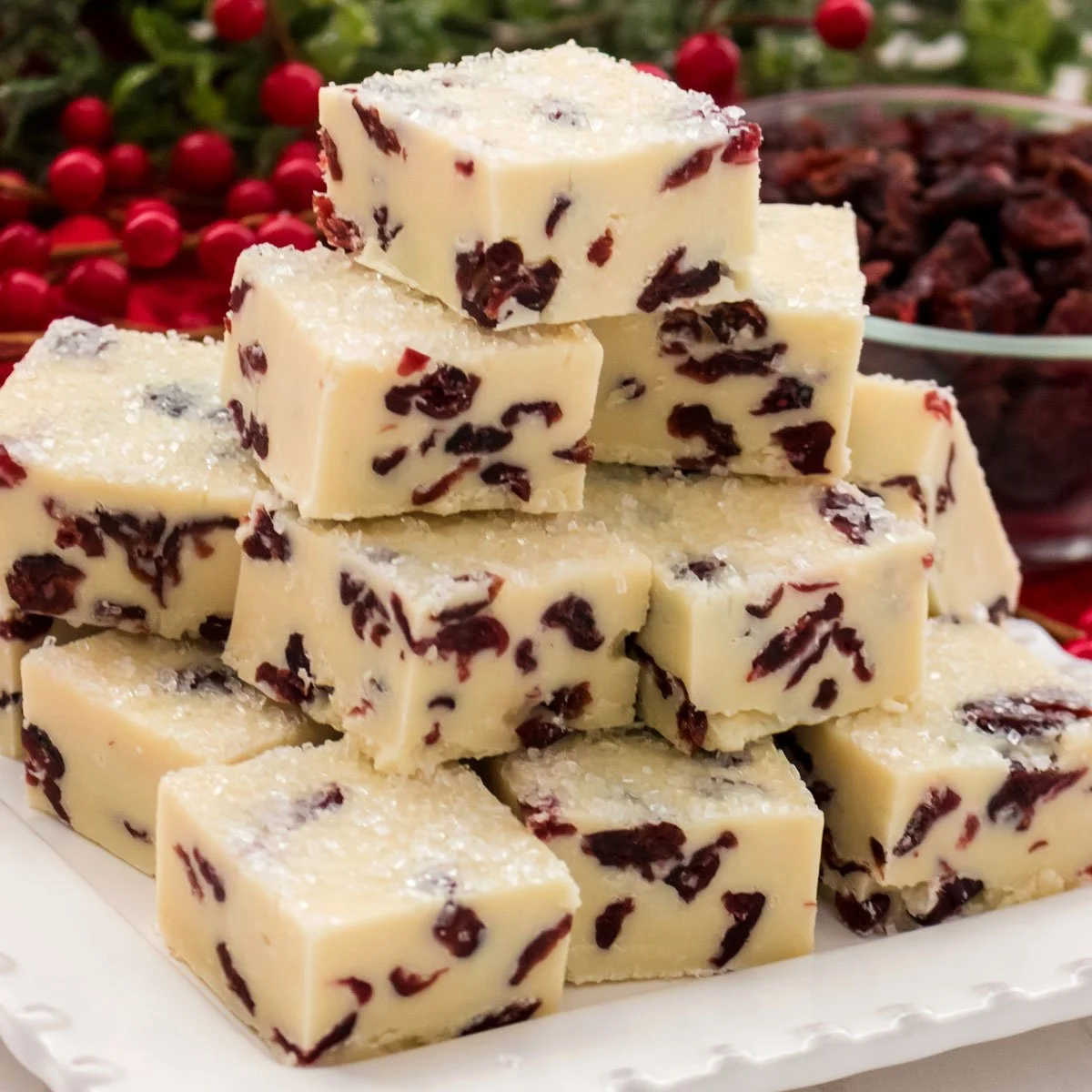 Creamy White Chocolate Cranberry Fudge